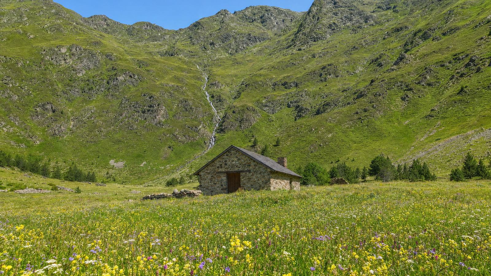 Prado alpino lleno de flores con un granero de piedra y una cascada lejana en la ladera verde