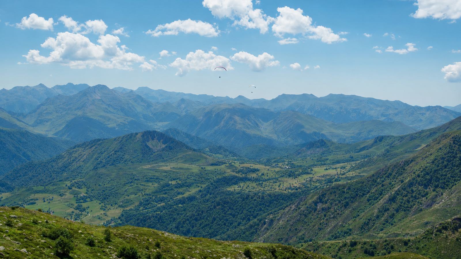 Parapente évoluant près d’une falaise pyrénéenne, avec un vautour fauve qui plane à distance dans la même ascendance
